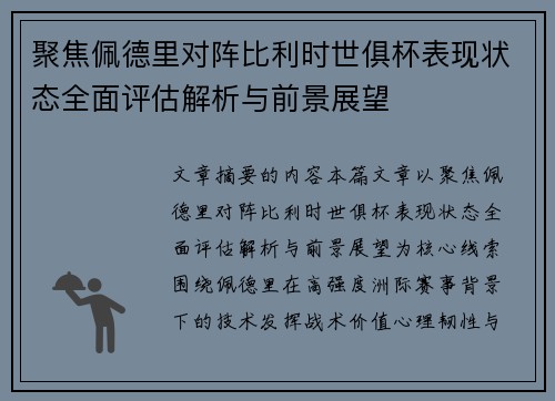 聚焦佩德里对阵比利时世俱杯表现状态全面评估解析与前景展望